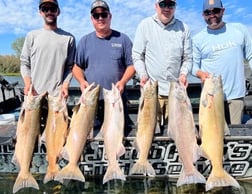 Chinook Salmon Fishing in Anderson, California