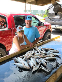 Speckled Trout / Spotted Seatrout Fishing in Yscloskey, Louisiana