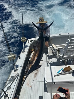 Fishing in Kailua-Kona, Hawaii