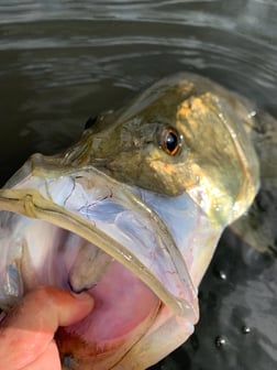 Fishing in Palm Beach, Florida