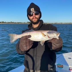 Sheepshead Fishing in Beaufort, North Carolina