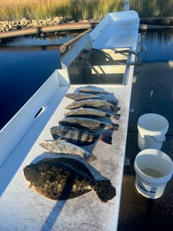 Speckled Trout / Spotted Seatrout Fishing in Little River, South Carolina