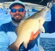 Mangrove Snapper Fishing in Tavernier, Florida