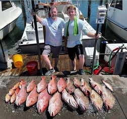 Red Grouper, Red Snapper Fishing in Clearwater, Florida