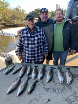 Fishing in Gulf Shores, Alabama