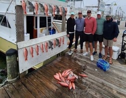 Amberjack, Triggerfish, Vermillion Snapper Fishing in Destin, Florida