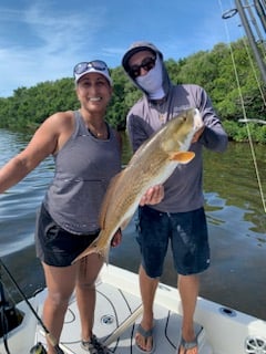 Redfish Fishing in Clearwater, Florida