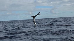 Fishing in Riviera Beach, Florida