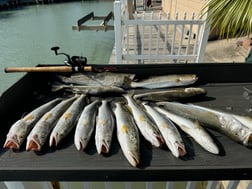 Fishing in South Padre Island, Texas