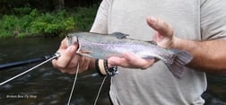 Fishing in Broken Bow, Oklahoma