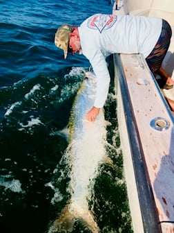 Tarpon fishing in Galveston, Texas