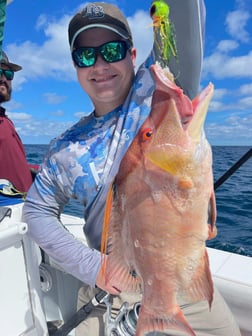 Cubera Snapper Fishing in Clearwater, Florida