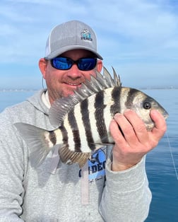 Sheepshead Fishing in Beaufort, North Carolina