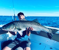 Striped Bass fishing in Bourne, Massachusetts