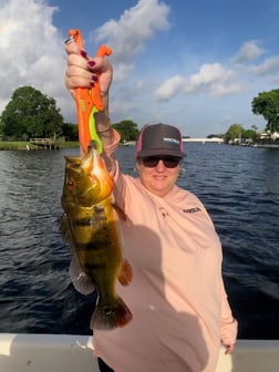 Fishing in Delray Beach, Florida