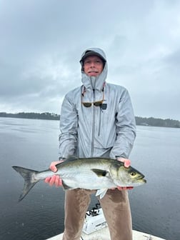 Fishing in Beaufort, North Carolina