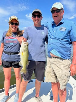 Largemouth Bass Fishing in Clearwater, Florida