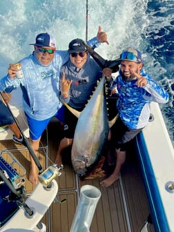 Yellowfin Tuna fishing in Cabo San Lucas, Baja California Sur