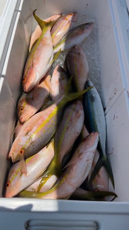 Fishing in Tavernier, Florida