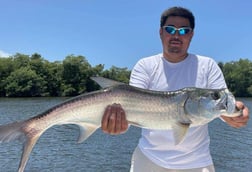 Tarpon fishing in Carolina, Carolina