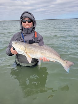 Redfish Fishing in Port O'Connor, Texas