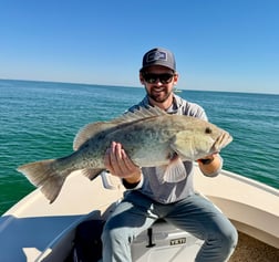 Fishing in Sarasota, Florida