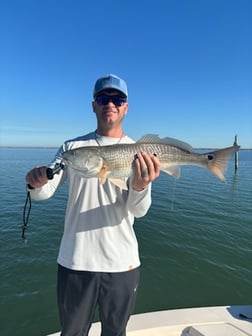 Fishing in Sarasota, Florida