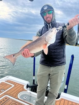 Speckled Trout / Spotted Seatrout Fishing in Little River, South Carolina