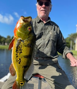 Peacock Bass Fishing in Delray Beach, Florida