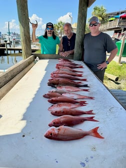 Fishing in Pensacola Beach, Florida