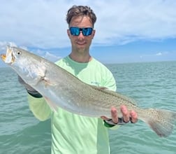 Speckled Trout / Spotted Seatrout fishing in South Padre Island, Texas