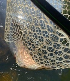 Fishing in Broken Bow, Oklahoma