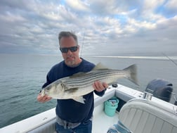 Bonito fishing in Chatham, Massachusetts