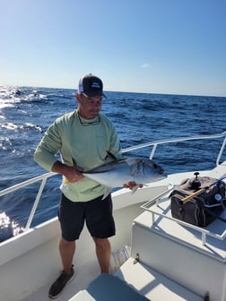 Fishing in Dorado, Puerto Rico