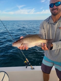 Kingfish Fishing in Sarasota, Florida