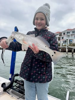 Fishing in Sarasota, Florida