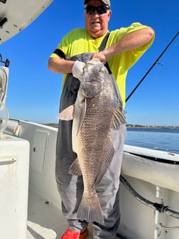 Fishing in Biloxi, Mississippi