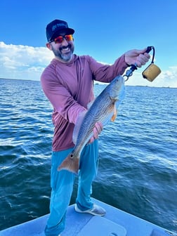 Black Drum, Redfish, Speckled Trout Fishing in Corpus Christi, Texas