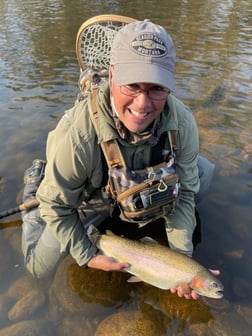 Rainbow Trout Fishing in Hume, California