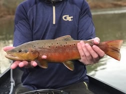 Fishing in Roswell, Georgia