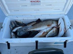 Redfish Fishing in Port O'Connor, Texas