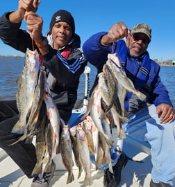 Blue Catfish, Speckled Trout / Spotted Seatrout Fishing in New Orleans, Louisiana