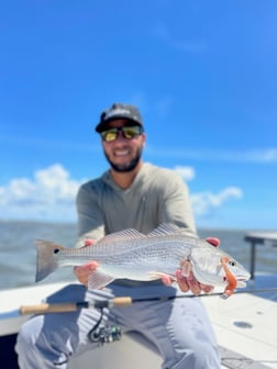 Redfish fishing in Wrightsville Beach, North Carolina