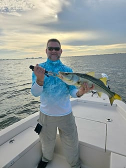 Fishing in Sarasota, Florida