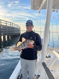 Fishing in Destin, Florida