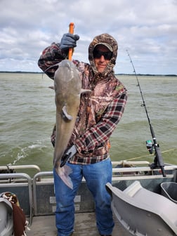 Channel Catfish Fishing in Port Clinton, Ohio