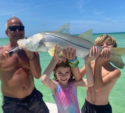 Snook Fishing in Tarpon Springs, Florida