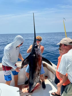 Swordfish Fishing in Destin, Florida