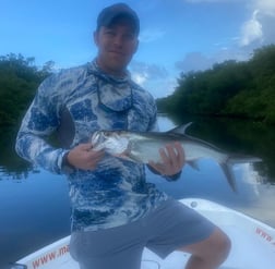 Tarpon fishing in Carolina, Carolina