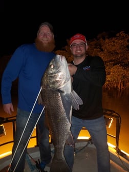 Black Drum fishing in Holland, Michigan